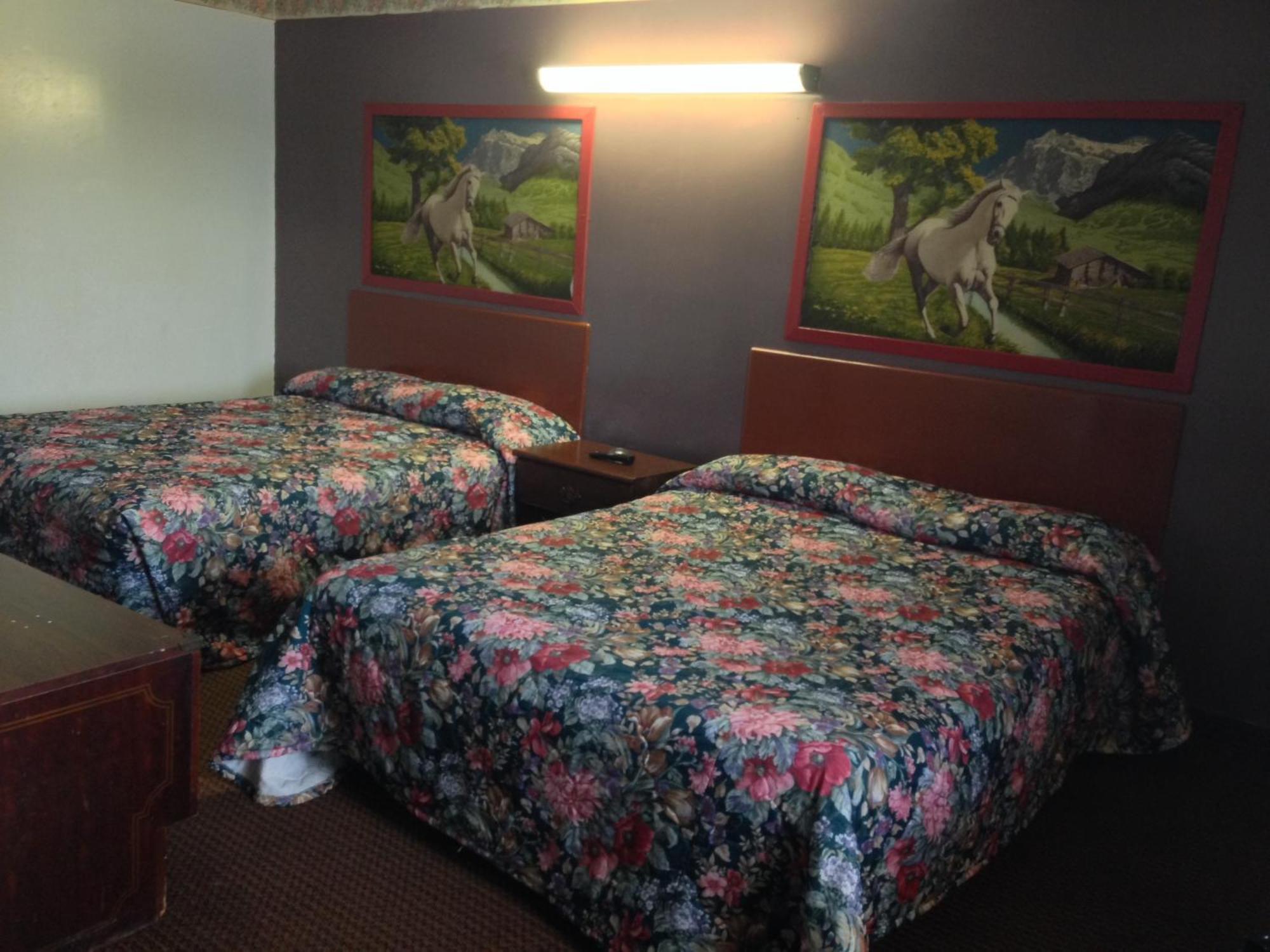 Choice Inn Сан-Антонио Номер фото